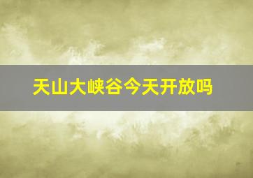 天山大峡谷今天开放吗