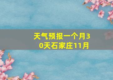 天气预报一个月30天石家庄11月