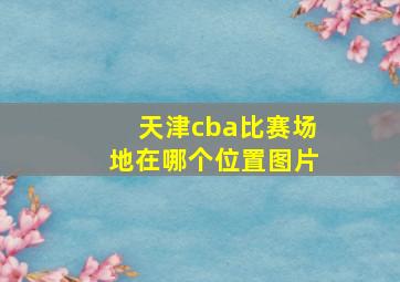 天津cba比赛场地在哪个位置图片