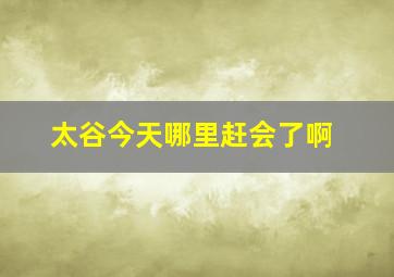 太谷今天哪里赶会了啊