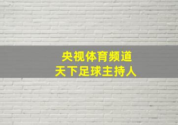 央视体育频道天下足球主持人