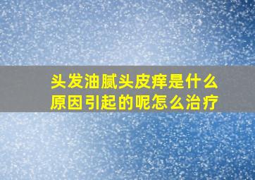 头发油腻头皮痒是什么原因引起的呢怎么治疗