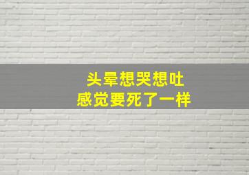 头晕想哭想吐感觉要死了一样