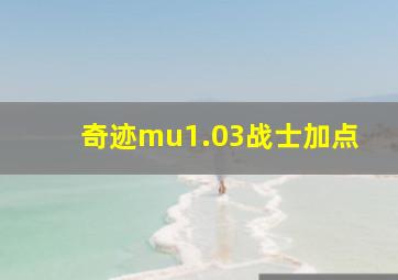 奇迹mu1.03战士加点