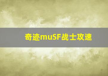 奇迹muSF战士攻速