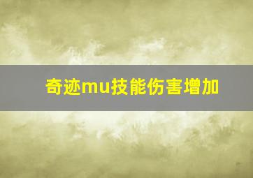 奇迹mu技能伤害增加