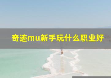 奇迹mu新手玩什么职业好