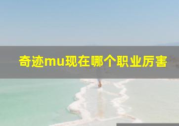 奇迹mu现在哪个职业厉害