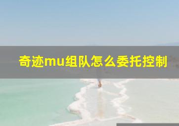 奇迹mu组队怎么委托控制