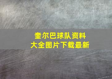 奎尔巴球队资料大全图片下载最新