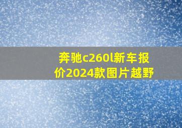 奔驰c260l新车报价2024款图片越野