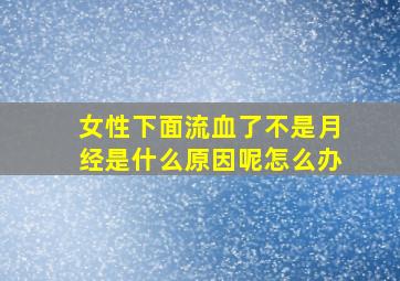 女性下面流血了不是月经是什么原因呢怎么办