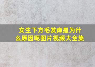 女生下方毛发痒是为什么原因呢图片视频大全集