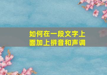 如何在一段文字上面加上拼音和声调