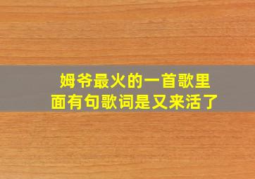 姆爷最火的一首歌里面有句歌词是又来活了