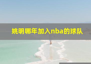 姚明哪年加入nba的球队