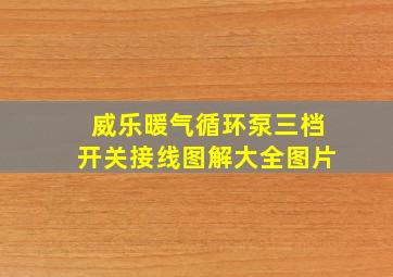 威乐暖气循环泵三档开关接线图解大全图片