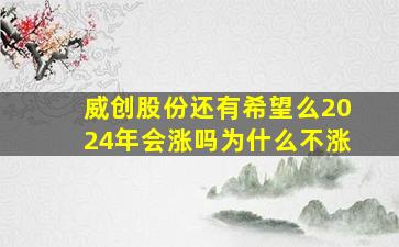 威创股份还有希望么2024年会涨吗为什么不涨