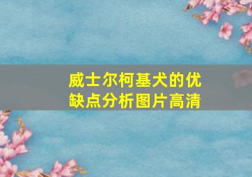 威士尔柯基犬的优缺点分析图片高清