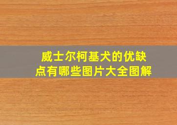 威士尔柯基犬的优缺点有哪些图片大全图解