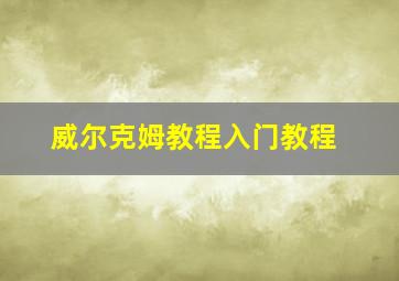 威尔克姆教程入门教程