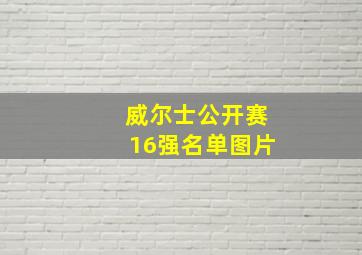 威尔士公开赛16强名单图片