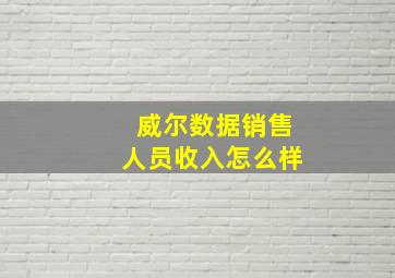 威尔数据销售人员收入怎么样