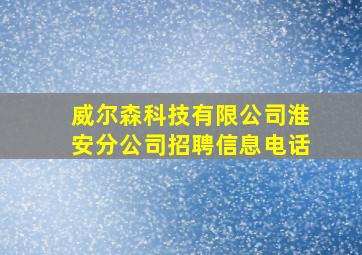 威尔森科技有限公司淮安分公司招聘信息电话