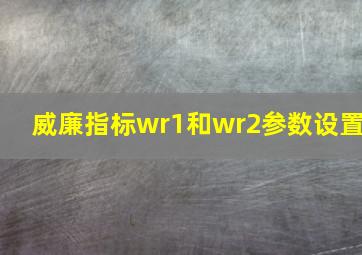 威廉指标wr1和wr2参数设置