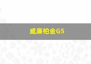 威廉柏金G5