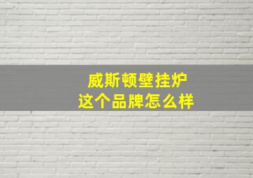 威斯顿壁挂炉这个品牌怎么样