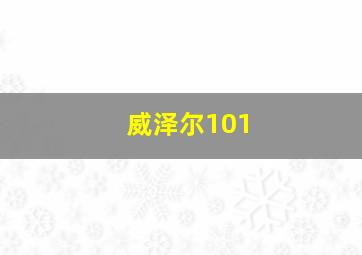 威泽尔101