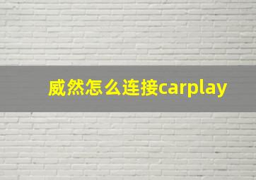 威然怎么连接carplay