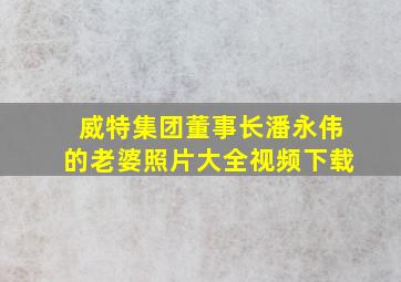 威特集团董事长潘永伟的老婆照片大全视频下载