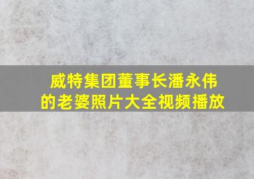 威特集团董事长潘永伟的老婆照片大全视频播放