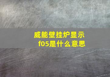 威能壁挂炉显示f05是什么意思