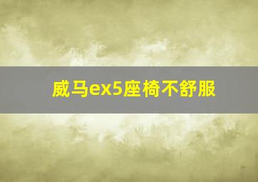 威马ex5座椅不舒服