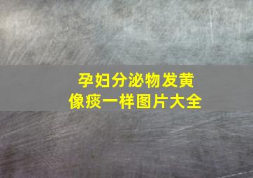 孕妇分泌物发黄像痰一样图片大全