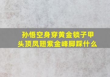 孙悟空身穿黄金锁子甲头顶凤翅紫金峰脚踩什么