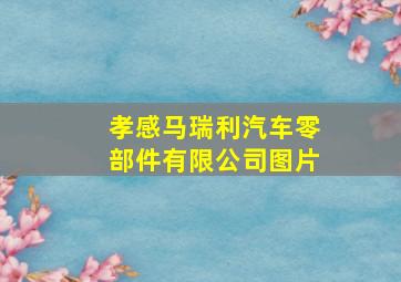 孝感马瑞利汽车零部件有限公司图片