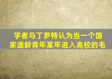 学者马丁罗特认为当一个国家适龄青年某年进入高校的毛