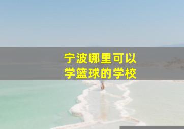 宁波哪里可以学篮球的学校