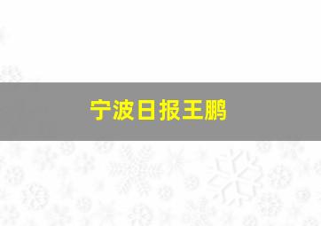 宁波日报王鹏