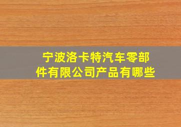 宁波洛卡特汽车零部件有限公司产品有哪些