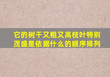 它的树干又粗又高枝叶特别茂盛是依据什么的顺序排列