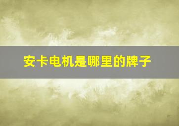 安卡电机是哪里的牌子