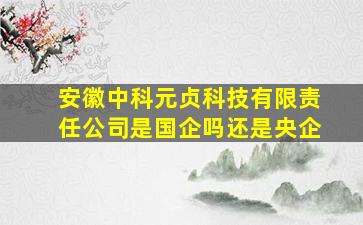 安徽中科元贞科技有限责任公司是国企吗还是央企