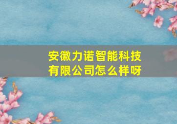 安徽力诺智能科技有限公司怎么样呀