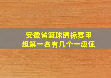 安徽省篮球锦标赛甲组第一名有几个一级证