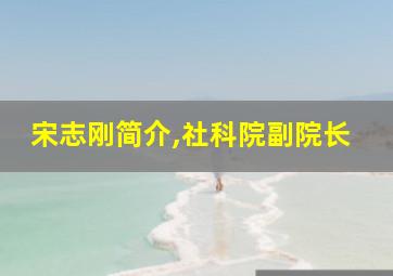 宋志刚简介,社科院副院长